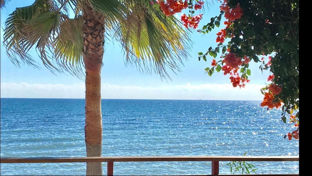 Mijas Costa - Beachside Apartment-B Sitio de Calahonda Екстериор снимка